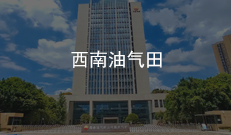 西南油氣田